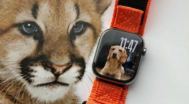 watchOS 26新功能曝光设计统一血压监测有望加入(图3)