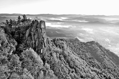 万物和美这生命图景如此灵动(图2)